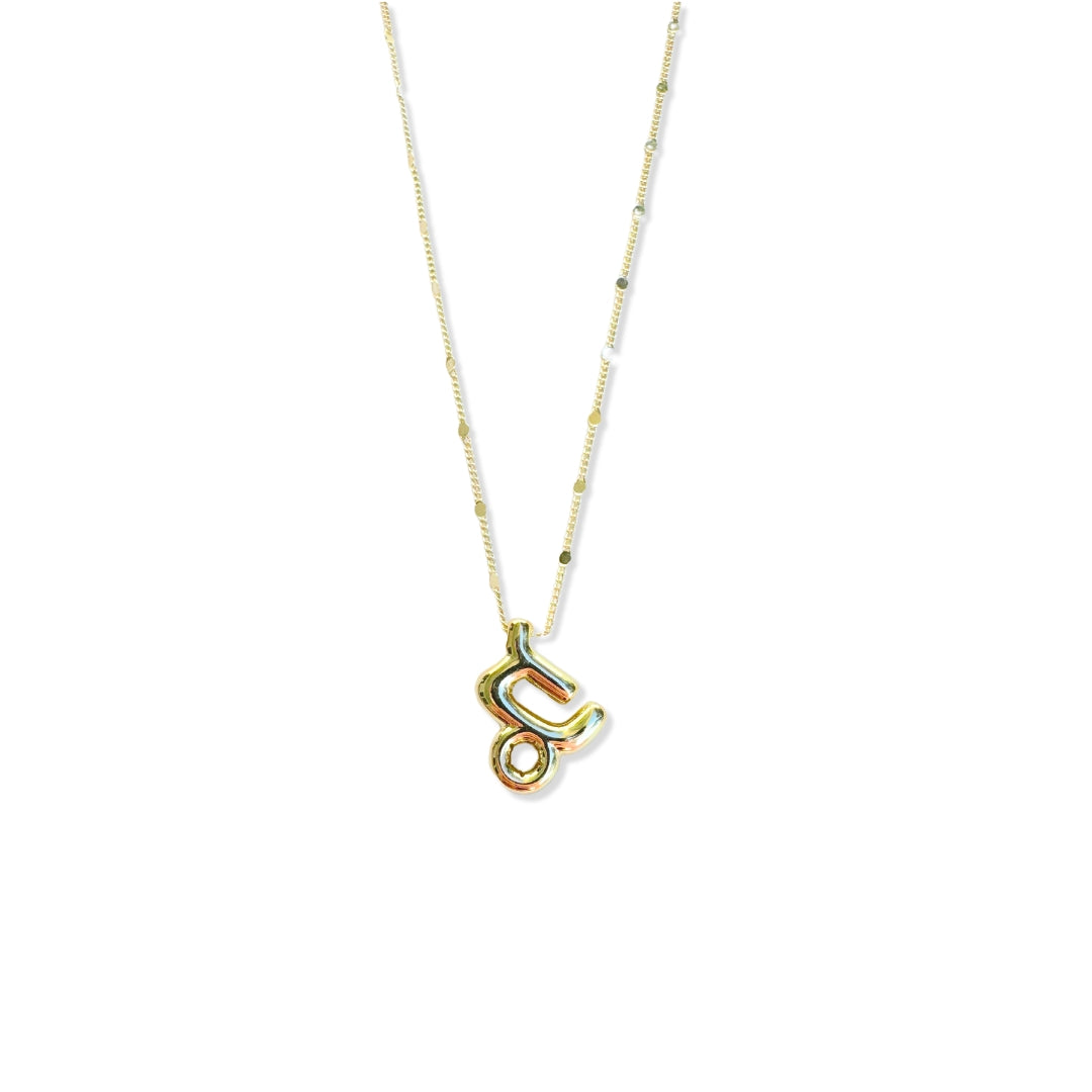 capricorn bubble necklace