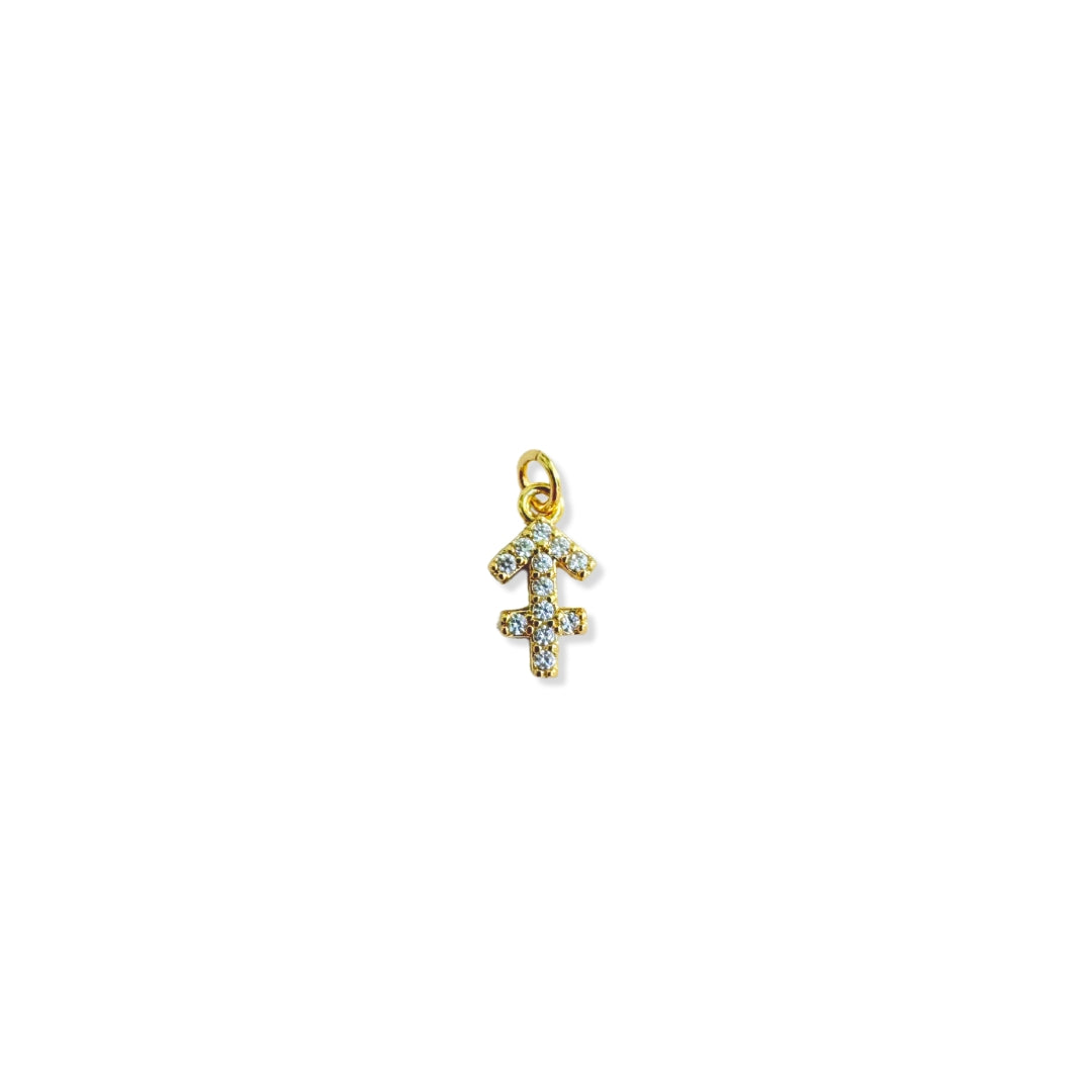 sagittarius charm